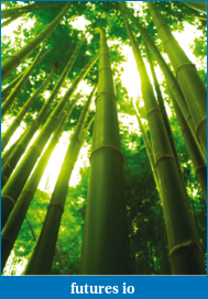 Click image for larger version

Name:	03_bambootree.png
Views:	160
Size:	170.8 KB
ID:	32173